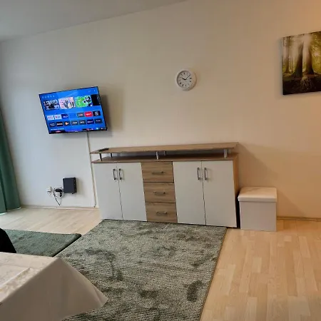 Steinhauer Business Magonza