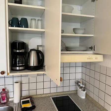 Steinhauer Business *