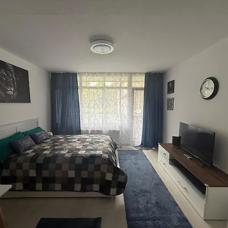 Steinhauer Business Moguncja