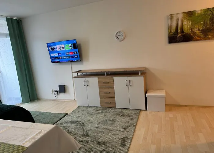 Steinhauer Business מיינץ