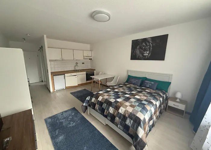 Steinhauer Business *