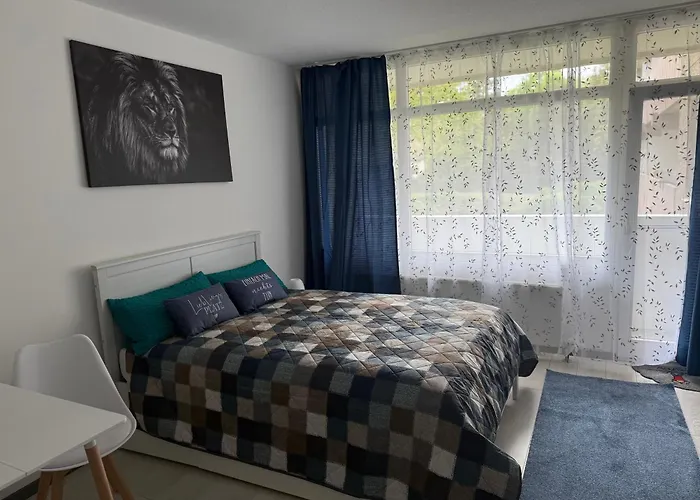 Steinhauer Business * מיינץ